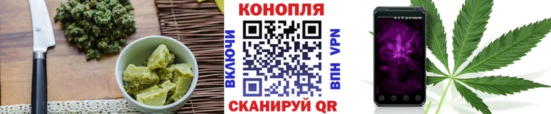 Canna-Cookies марихуана  магазин  наркотиков  Вышний Волочёк 