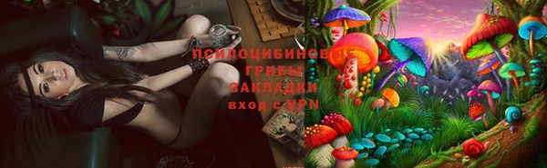 a pvp Алексин