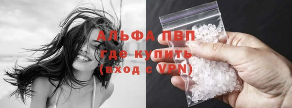 сатива Алексеевка