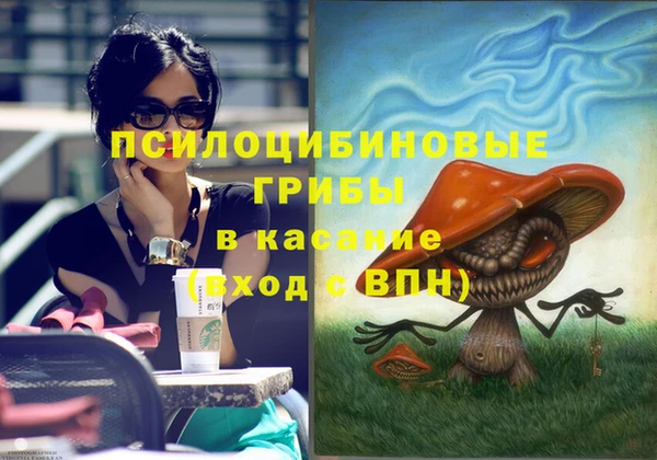не бодяженный Абаза
