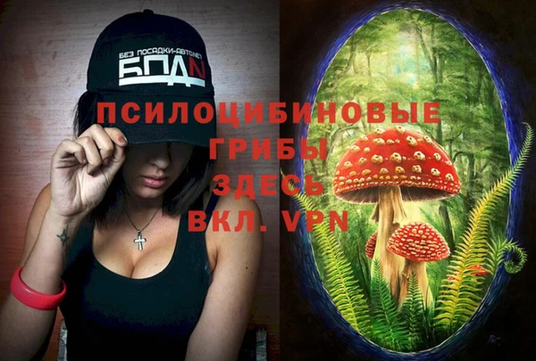 сатива Алексеевка